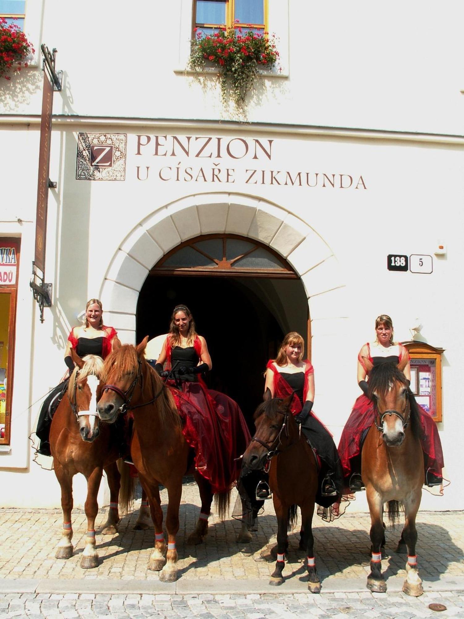 Penzion U Cisare Zikmunda Зноймо Экстерьер фото